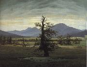 Caspar David Friedrich The Solitary Tree oil painting